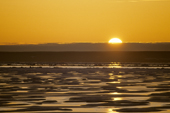 First-year sea ice, Peel Sound, Central Nunavut, Arctic Canada