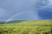 Rainstorm and rainbow in the British Mountains, Vuntut National Park, northern Yukon, Arctic Canada